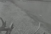 View north along the beach